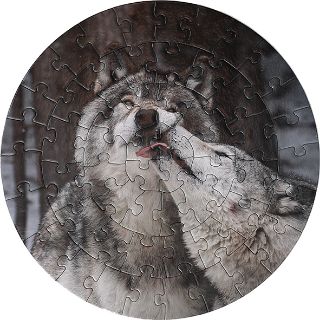 Obrázek z Puzzle kruh vlk 56 dílků (9) 